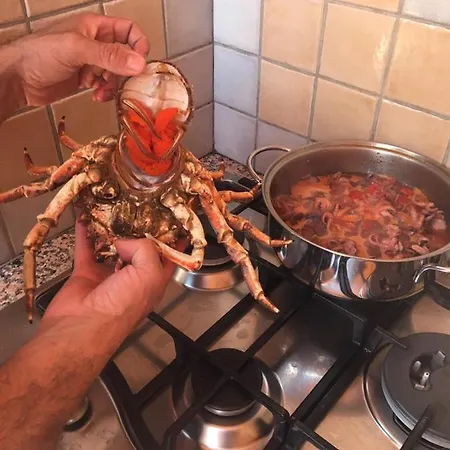 Casa de Férias Ale&ludo Portofrailis *